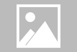 粤西雪豹队鏖战嵩山暴熊队，赛艇大奖赛读秒绝平，转换速度占优。定海神针仍在-开云体育官网